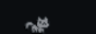 Cat badge